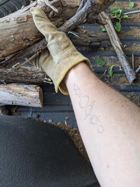Tattoo while chopping lumber