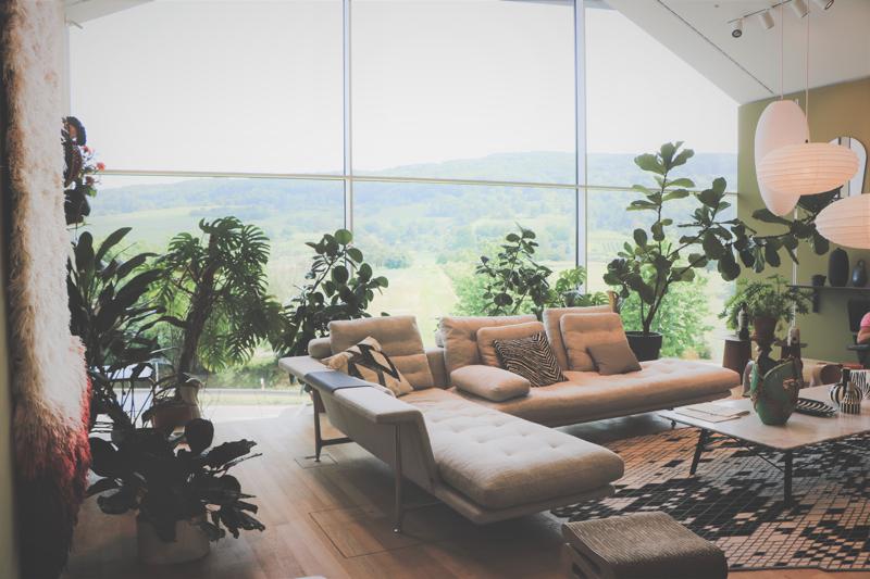 interior design with plants