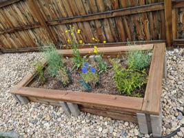 How To: Build a Garden Planter Box